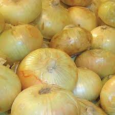 The Vidalia Cousin Peruvian Onions Produce Business Magazine