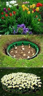 Flower Garden Hack Brilliant Properly Care For Indoor Plants In Winter Especially In The Winter Months Housepl In 2020 Plants Garden Landscaping Lawn And Garden
