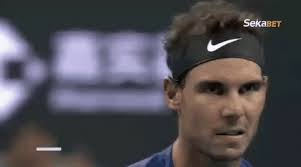 Check spelling or type a new query. Tennis Players Gifs Rafael Nadal Wattpad