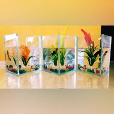 Belanja sekarang juga hanya di bukalapak. Promo Paket Aquarium Mini Lengkap Murah Shopee Indonesia