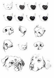 For this next stage, we'll draw a dog in relaxed pose. Animal Drawings Dog Drawing Tutorial Dog Portraits Painting