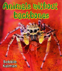 An edition of animals with back bones (1984). Animals Without Backbones Big Science Ideas Paperback Kalman Bobbie 9780778732990 Amazon Com Books