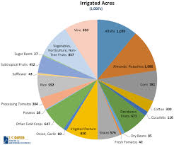 Jobs Per Drop Irrigating California Crops California Waterblog