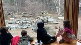 Youth Wolf Biologist Camps