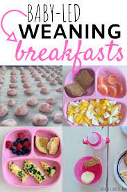 Baby-led Weaning Breakfast Ideas Baby Led Weaning Recipes Baby Led Weaning Breakfast Baby Food Recipes