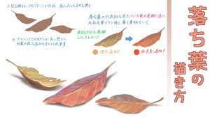 秋の枯葉 落ち葉の描き方をイラスト解説 紅葉の風景絵にもおすすめ お絵かき図鑑