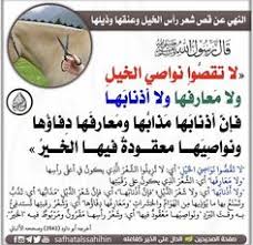 Pin De أستغفرالله Em ديني Em 2020