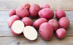 I have just finished digging my two rows of red norland potatoes. Baby Red Norland Potatoes Martin Bournhonesque Sf Bay Good Eggs