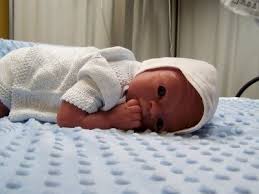 Birds And Bees Nursery Julie Molloy Birds Bees Nursery Silicone Babies Silicone Babies Bee Nursery Baby