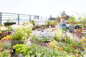 Find top online residential terrace garden designing professionals for renovation, modification of residential in india. 33 Best Rooftop Garden Ideas Urban Gardens 2021 Own The Yard