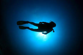 Why Scuba Dive 12 Reasons Women Should Learn To Dive Infobonaire