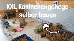 Kaninchen pflegen sich normalerweise selbst. Kaninchengehege Selber Bauen Gunstig Einfach Youtube