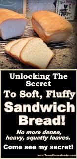 Fit the mixer with the dough hook and at low speed, mix in the flour and salt, scraping down the sides of the bowl as needed. Finally A Soft Delicious Sandwich Bread Texas Homesteader