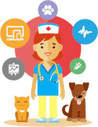 Consultez notre catalogue de formations à distance et par correspondance et contactez directement les centres de formation. Formation Auxiliaire De Sante Animale Une Belle Vie De Chat Un Blog Sur Le Chat