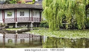 We did not find results for: Weeping Willow Image Photo Free Trial Bigstock