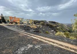 Le immagini dal drone rogo oristanese: Sjwkjwqpiura1m