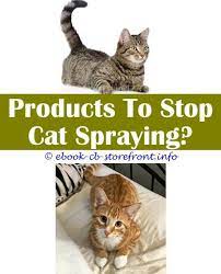 Pin On Cat Spray Remover Cleanses