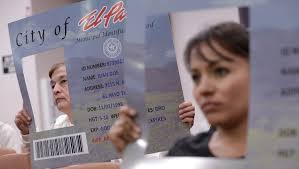 Potential municipal IDs require more research, council says