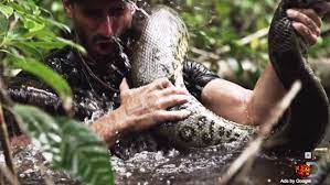 Eaten Alive Paul Rosolie S Attempt To Be Swallowed By Anaconda The Hollywood Reporter