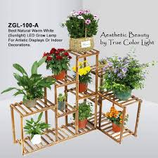 The bold and bodacious houseplant that is low maintenance too. Zotron Esthetic Grow Light 100w New Generation Growing Led Light Bulbs For Greenhouse Indoor Plants And Hydroponic Garden Full Spectrum Growing Lamps 160 Degree Wide Area Coverage Amazon Com Au Garden