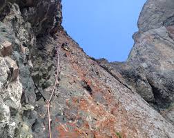 Image result for Kedrostis abdallai