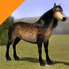 Gypsy vanners are popular on the internet for their flashy appearance and funny horse mustache. Real Horses Sooty Buckskin Gypsy Duke Of Earl By Littlev The Exchange Community The Sims 3