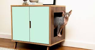 Cat litter boxes are as varied as cats and as the people who love them. Designer Litter Box Furniture Pasteurinstituteindia Com