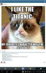 I Love The Titanic Grumpy Cat Cat Memes Cat Stories
