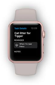 The Best Grocery List App For Apple Watch Any Do