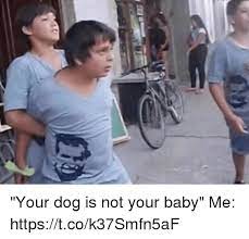 Your Dog Is Not Your Baby Me Httpstcok37smfn5af Meme On Me Me