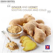 Ginger And Honey Sooths Cough And Cold Eroshotelnow New Delhi Ginger Benefits Health Benefits Of Ginger Best Cancer Fighting Foods