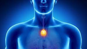 • a neuromuscular disorder characterized by. Myasthenia Gravis Muskelschwache Erkennen Und Behandeln Ndr De Ratgeber Gesundheit
