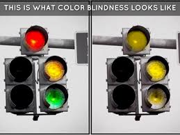 Color blind people seem to have trouble differentiating colors and may simply confuse one color with another. Color Blind By Gabbi Sonntag