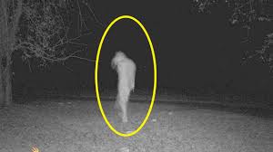 Bahkan keanehan dan misteri tersebut bisa tersebar hingga ke seluruh dunia dan menjadi buah bibir. Video Kejadian Kejadian Menakjubkan Yang Terekam Kamera Blog Unik