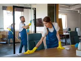 What is the difference between regular cleaning and deep cleaning? - PinkClean