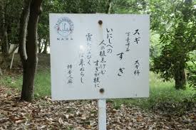 万葉歌碑を訪ねて ５２１ 奈良市法蓮佐保山 万葉の苑 ２４ 万葉集 巻十 一八一四 万葉集の歌碑めぐり