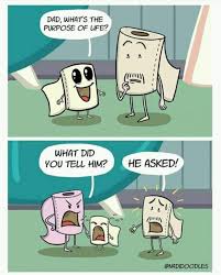 The Best Toilet Paper Memes Memedroid