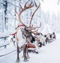 Santa Claus Reindeer - Santa Claus Village