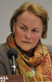 Bull's Resignation Creates Vacancy On Shields Township Board