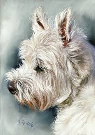 A small amount of white may be allowed on the chest. Chiens En Peinture Page 10 Dog Paintings Westie Dogs Dog Portraits