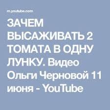 можно ли сажать помидоры по два в лунку видео Zachem Vysazhivat 2 Tomata V Odnu Lunku Video Olgi Chernovoj 11 Iyunya Youtube Vyrashivanie Tomatov Ovoshnoj Ogorod Sadovodstvo