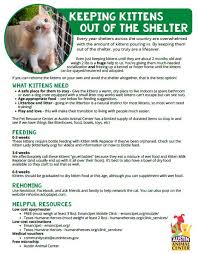 Take a look at the cats currently residing at the austin humane society who are available for adoption. Community Cats Austintexas Gov