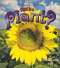 A read aloud for science class called how do plants grow? written by julie lundgren. Plants Provide People And Animals With Food Shelter And Even Oxygen Plants Help Us Live And Grow But How Does A Plant Grow Plants Plant Science Plant Book