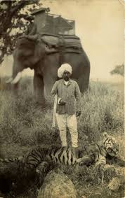 Tiger Hunting in India, ca. 1920s | Colorem