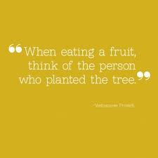 The best and most beautiful things in this world cannot be seen or. Quotes For Gratitude Day 5 Gratitude Quotes Gratitude Day Proverbs Quotes