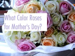 The blue violet flower symbolises faith, affection, intuition and love. What Color Roses For Mothers Day Send Flowers Worldwide