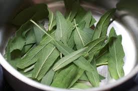 Most of the mediterranean oregano available in grocery stores is the dried variety, which results in a flavor profile that is not as intense as that from mexican oregano. 12 Best Substitutes For Oregano Substitute Cooking