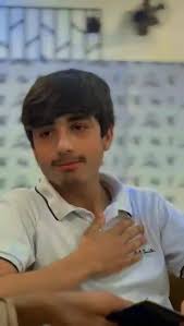 Exploring the Concept of Badmashi in Society