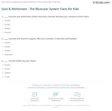 While it doesn't move, the rest of the muscle. Quiz Worksheet The Muscular System Facts For Kids Study Com