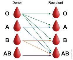 Maybe you would like to learn more about one of these? About Blood Types Of Blood Donation Infiuss Advancing Health Transforming Lives